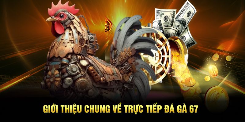 Giới thiệu chung về trực tiếp đá gà 67