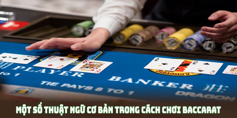 Một số thuật ngữ cơ bản trong cách chơi baccarat