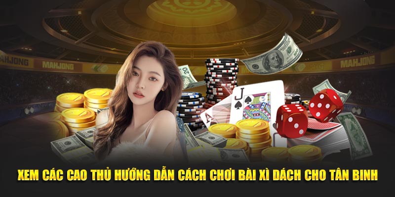 Xem các cao thủ Hướng dẫn chơi bài Xì Dách cho tân binh