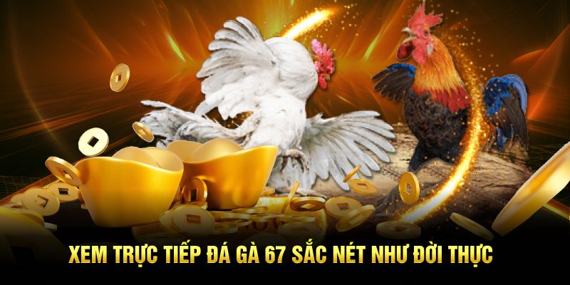 Những trận đấu nổi bật có mặt tại trực tiếp đá gà 67